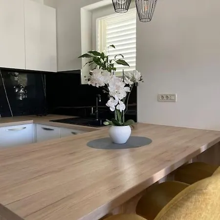 公寓 Deluxe Bayview Oasis 杜布罗夫尼克